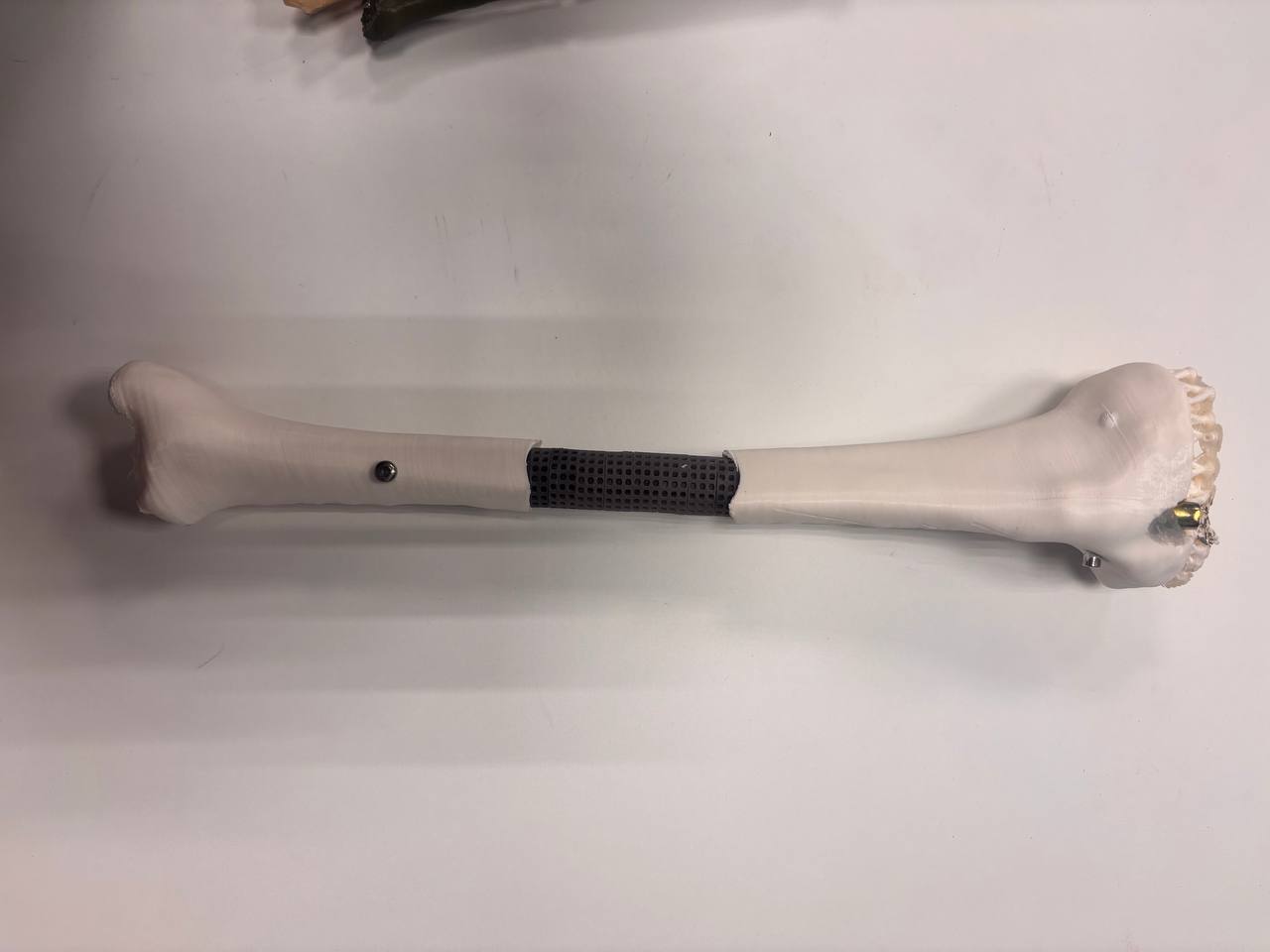 Учёные КГУ и сотрудники Центра Илизарова создали модульные титановые имплантаты для замещения дефектов костей